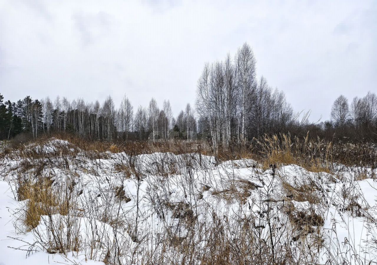 земля р-н Нижнетавдинский снт Березка Тюмень фото 7