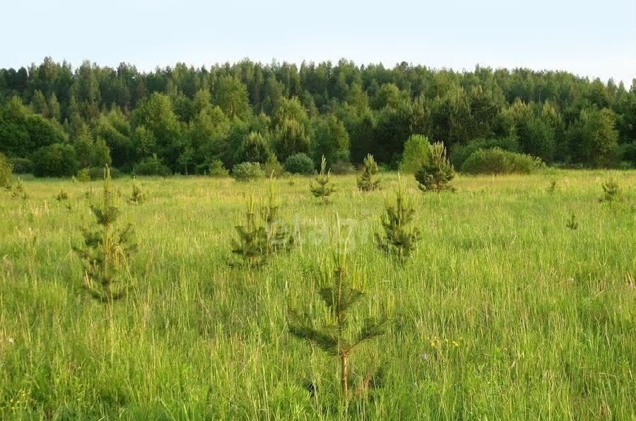 земля г Белово Кемеровская обл. - Кузбасс, 4-й мкр-н фото 1