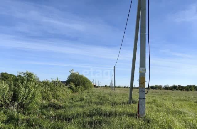 земля р-н Гурьевский п Доброе Гурьевск фото 2