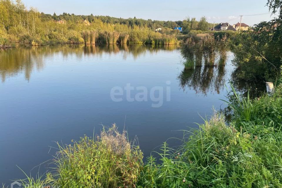 земля городской округ Сергиево-Посадский СНТ Деулино фото 2