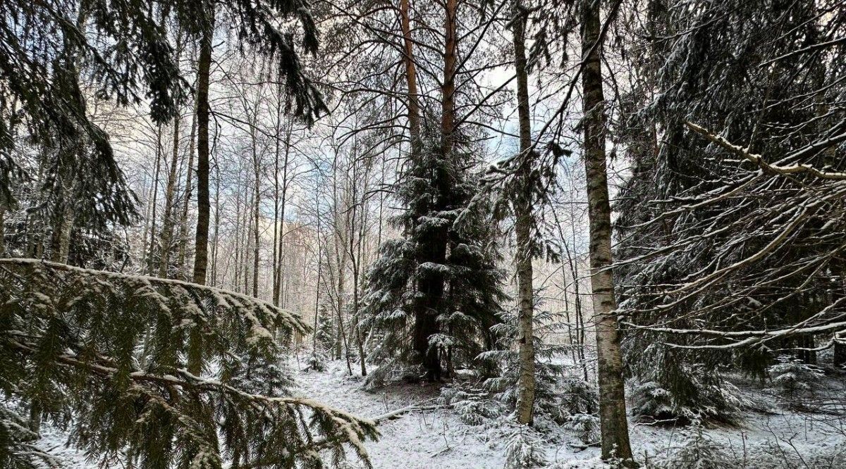 земля р-н Всеволожский Колтушское городское поселение, Мечта-2 кп, 18 фото 4