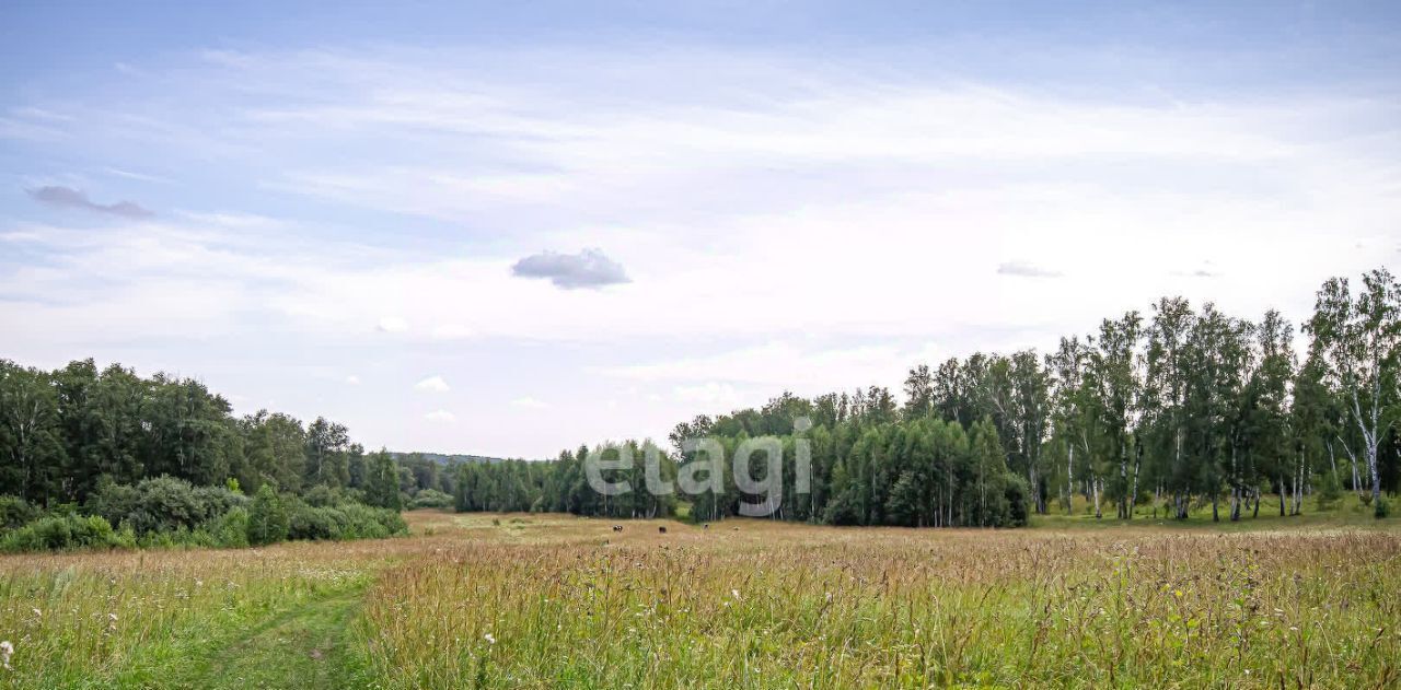 земля р-н Новосибирский с Каменка ул Каменская Каменский сельсовет фото 4