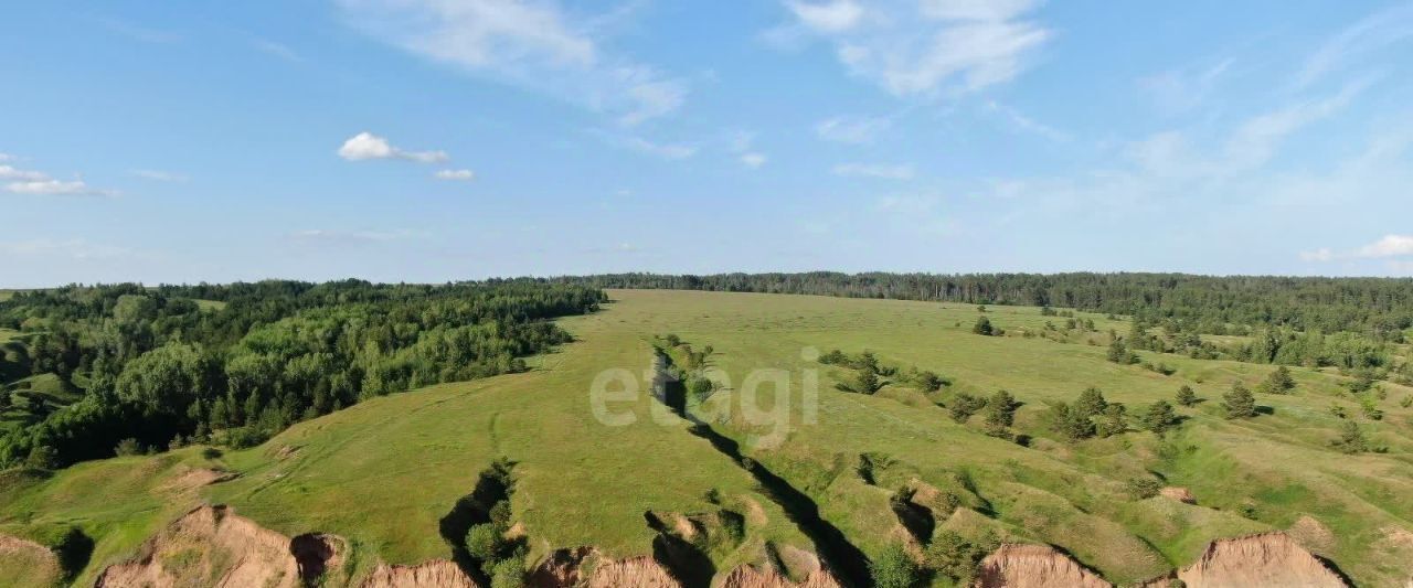 земля р-н Рыбно-Слободский с Троицкий Урай фото 3