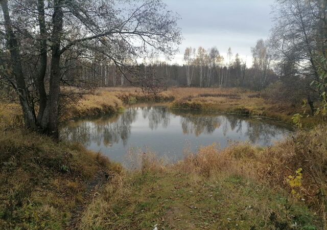 муниципальное образование Лавровское, Владимир фото