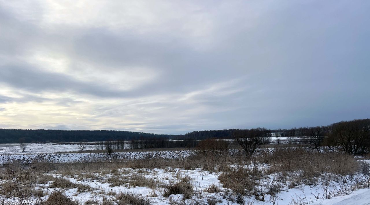 земля городской округ Раменский Пахра Ривер Парк кп, 356, Домодедовская фото 2