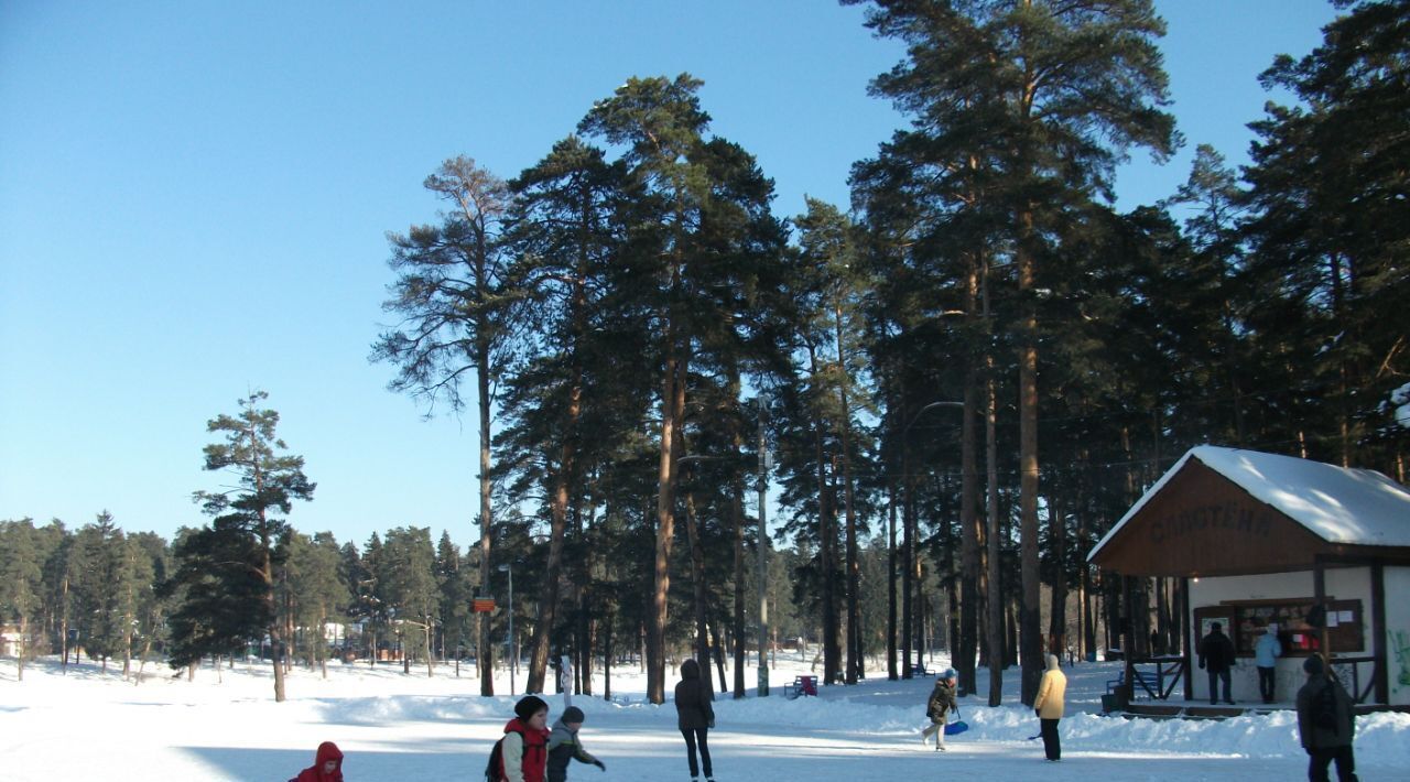 дом городской округ Раменский Кратово дп, Есенинская, ул. Речная фото 31