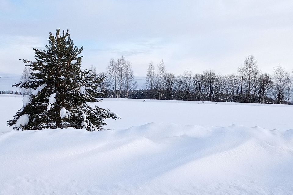 земля Чайковский городской округ, д. Гаревая фото 1