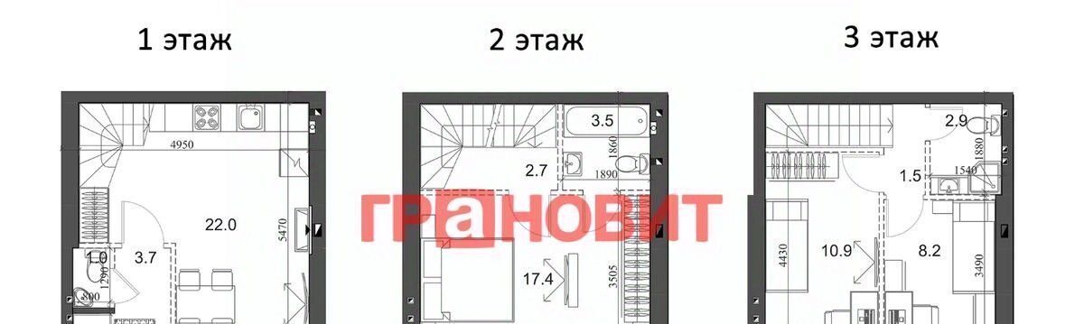 квартира р-н Новосибирский п Элитный р-н мкр Березки сельсовет, 183, Мичуринский фото 2