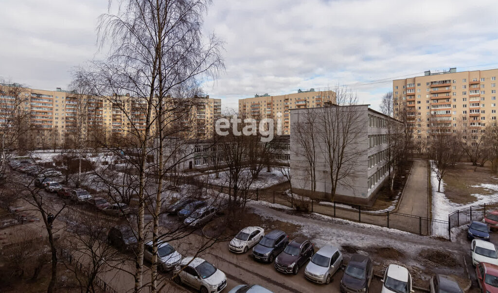 квартира г Санкт-Петербург метро Ладожская пр-кт Энтузиастов 46к/2 округ Ржевка фото 18