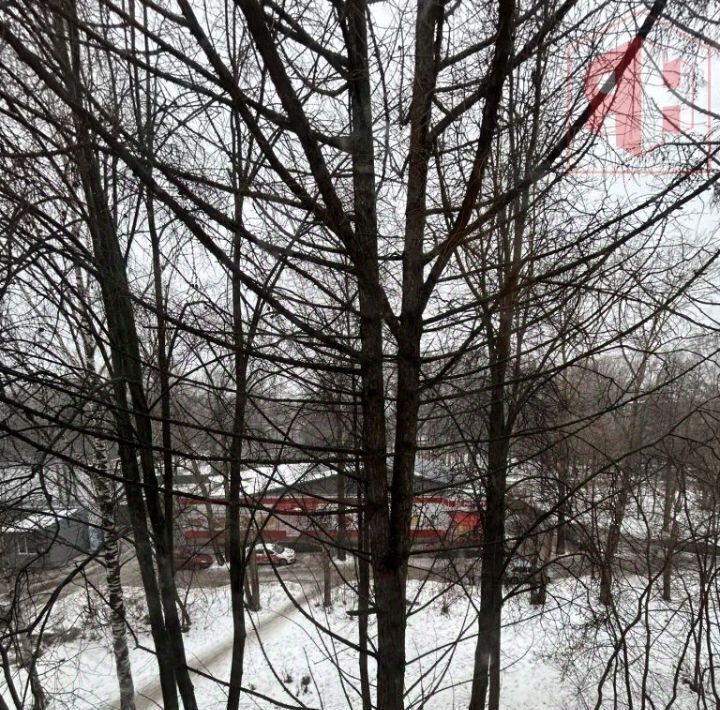 квартира г Нижний Новгород Горьковская ул Богородского 5к/4 фото 12