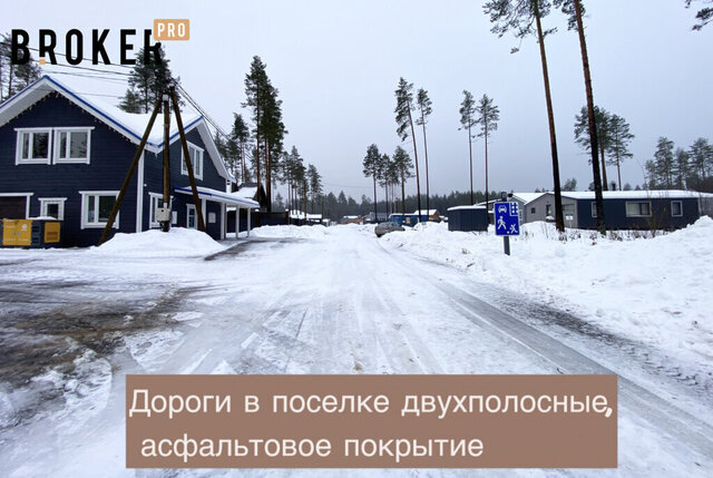 городской посёлок Рощино, Еловая улица фото