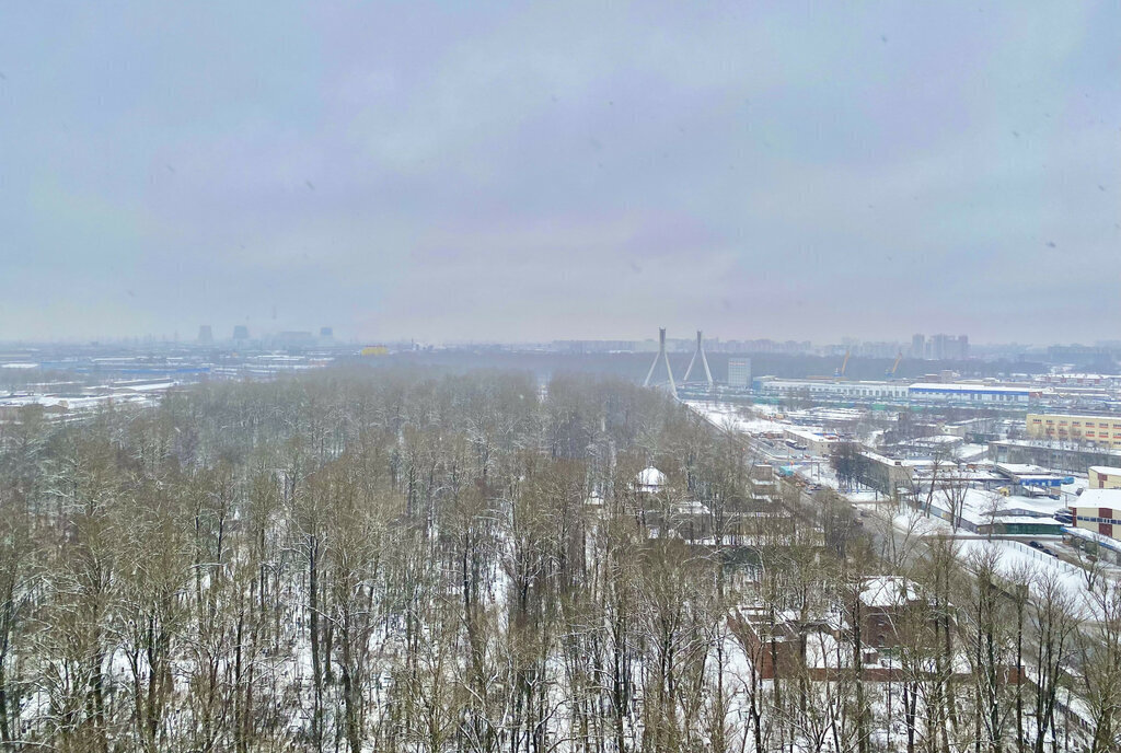 квартира г Санкт-Петербург метро Пролетарская Александровское пр-кт Александровской Фермы 8 округ Обуховский фото 15