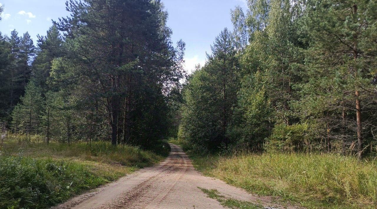 земля р-н Череповецкий д Ульяново Югское муниципальное образование фото 3