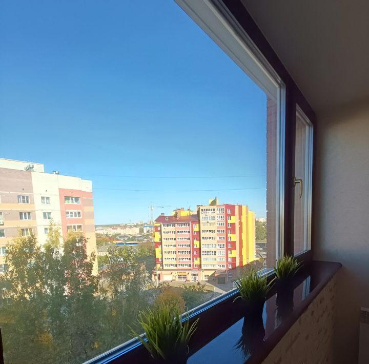 квартира г Йошкар-Ола ул Димитрова 64а фото 12