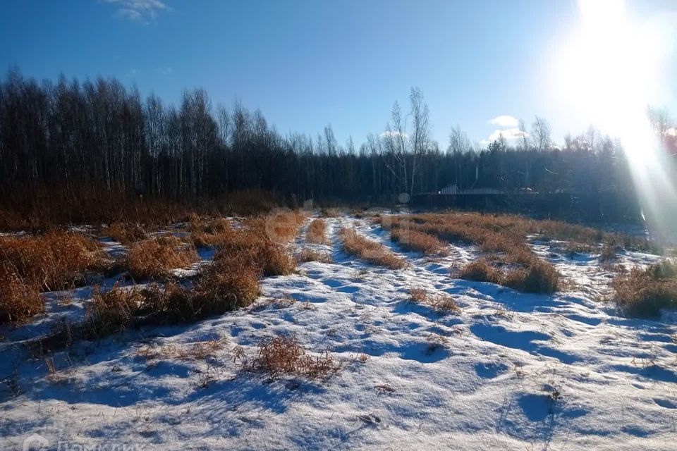 земля р-н Тюменский фото 1