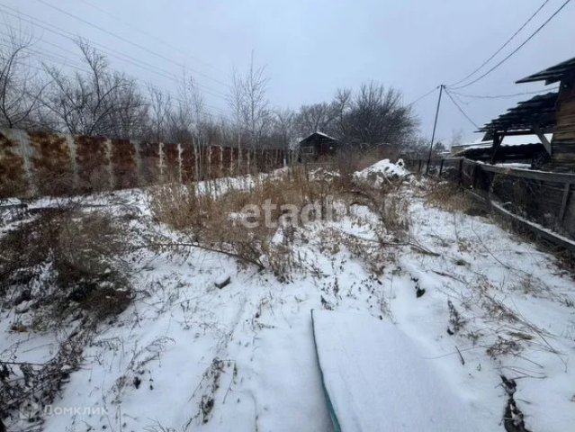 СНТ Дружба, Благовещенск городской округ фото