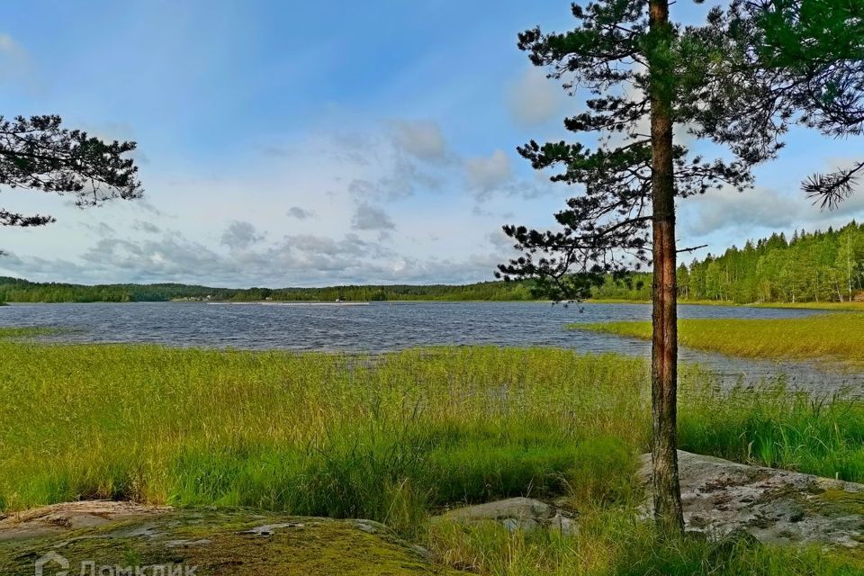 земля Сортавальский район, пос. Ниэмелянхови фото 2