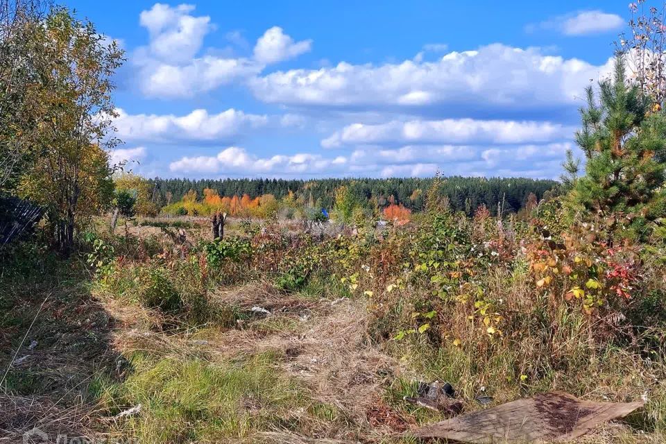 земля г Кушва пл Советов Кушвинский городской округ фото 8