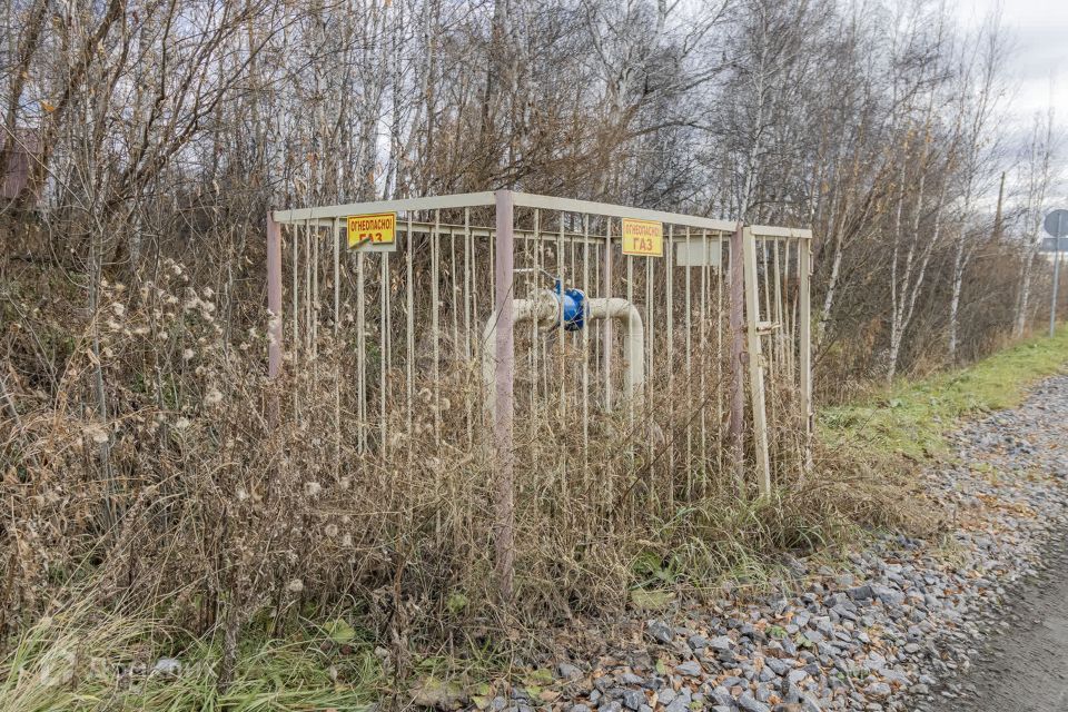 земля г Тюмень Тюмень городской округ, СТ Меркурий фото 6