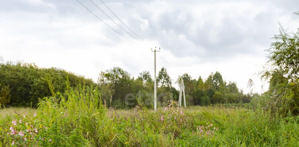 земля р-н Новокузнецкий с Атаманово ул Новоселов фото 7