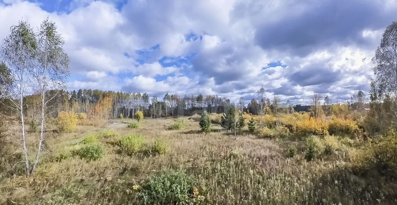 земля р-н Нижнетавдинский снт Сундукуль Тюмень фото 10