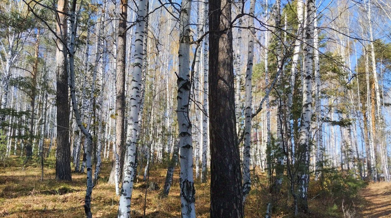 земля г Дегтярск ул Жуковского Западный управленческий округ фото 1