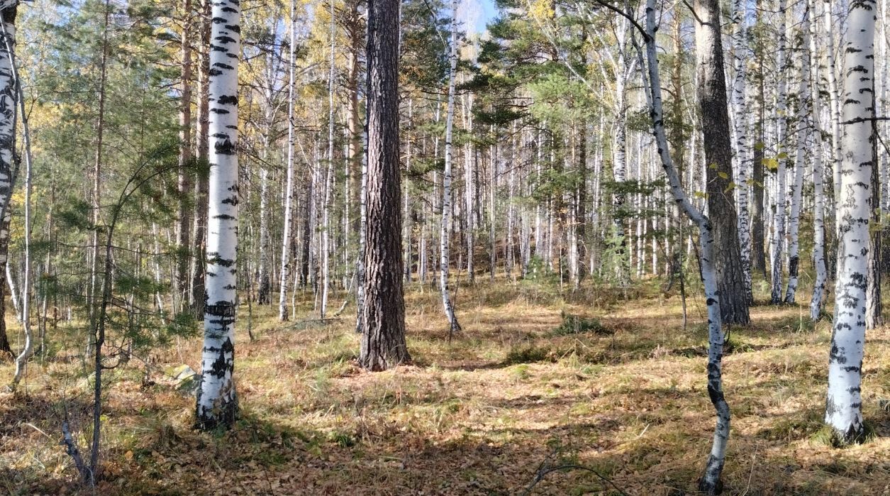 земля г Дегтярск ул Жуковского Западный управленческий округ фото 2