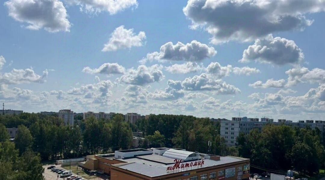 квартира г Смоленск р-н Промышленный ул Попова 30 фото 11