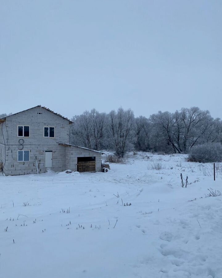 дом р-н Мокшанский с Рамзай ул Желиховского сельсовет, Пенза, Рамзайский фото 3