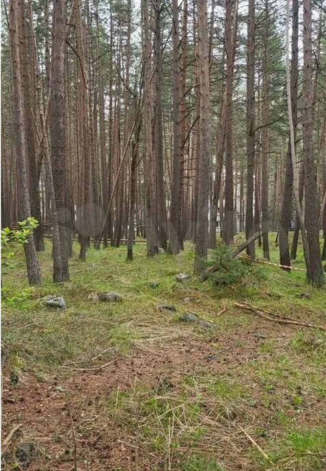 земля р-н Эльбрусский с Терскол фото 1