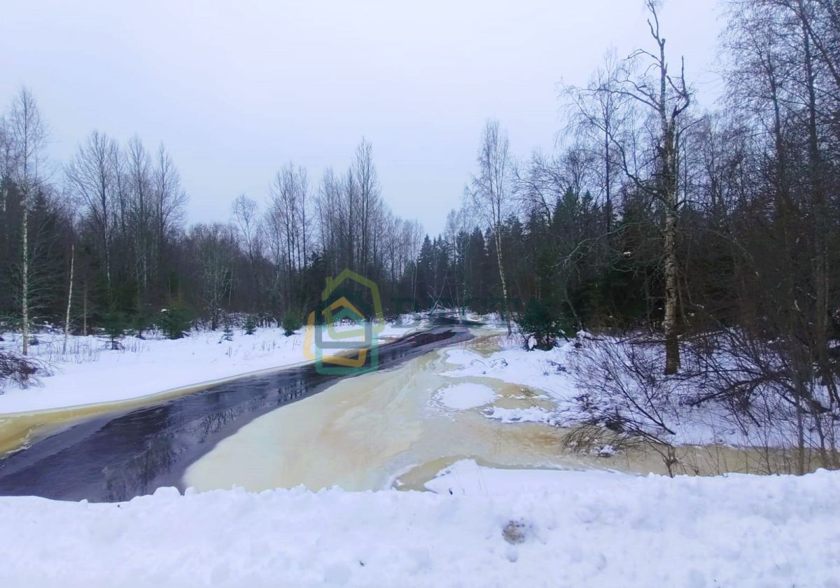 земля р-н Выборгский п Рощино Выборгское шоссе, 39 км, Рощинское городское поселение, СНТ Карелия СПБ ПМА, 15-я Педиатрическая ул фото 6