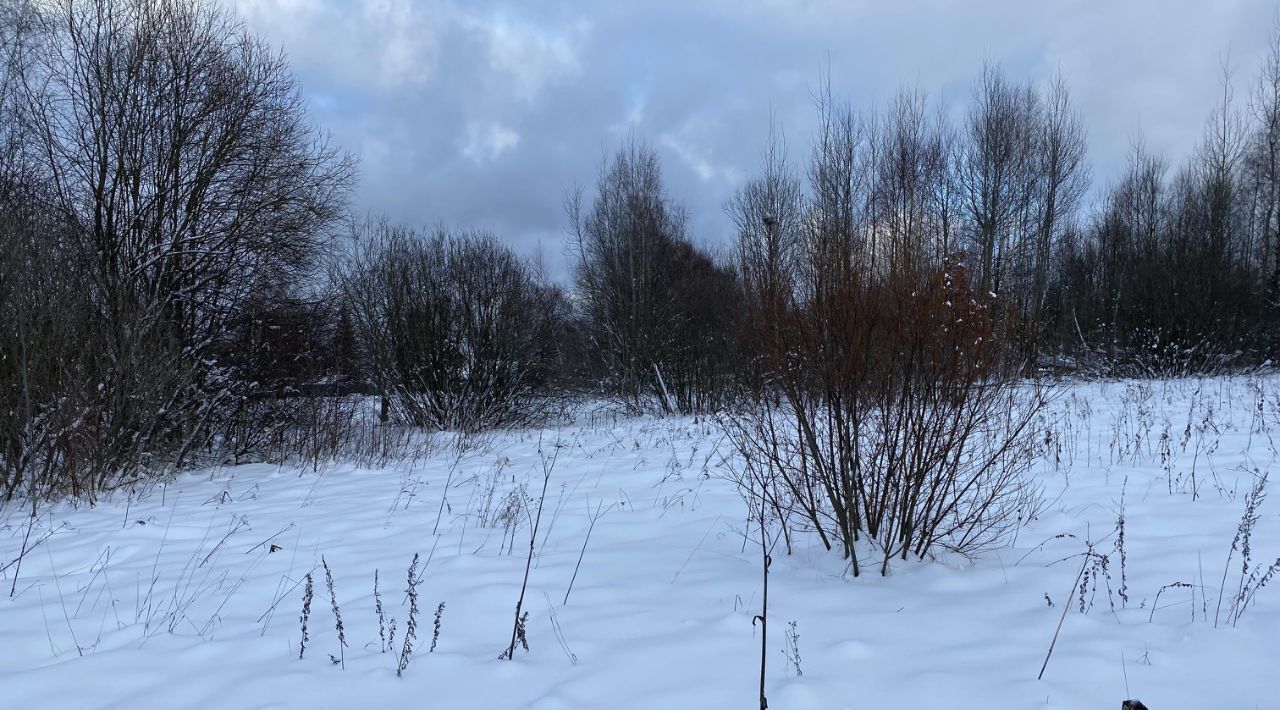 офис городской округ Клин с Борщево фото 4