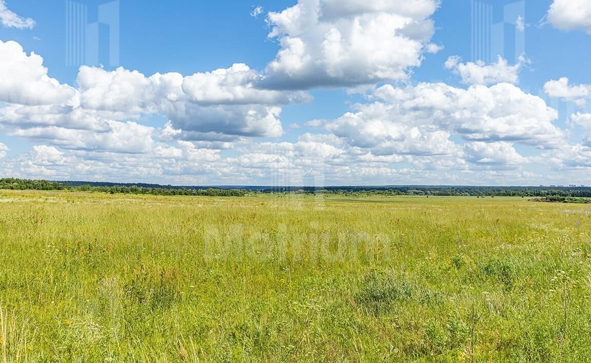 земля городской округ Красногорск д Грибаново ул Народная 35 16 км, Красногорск, Рублёво-Успенское шоссе фото 3