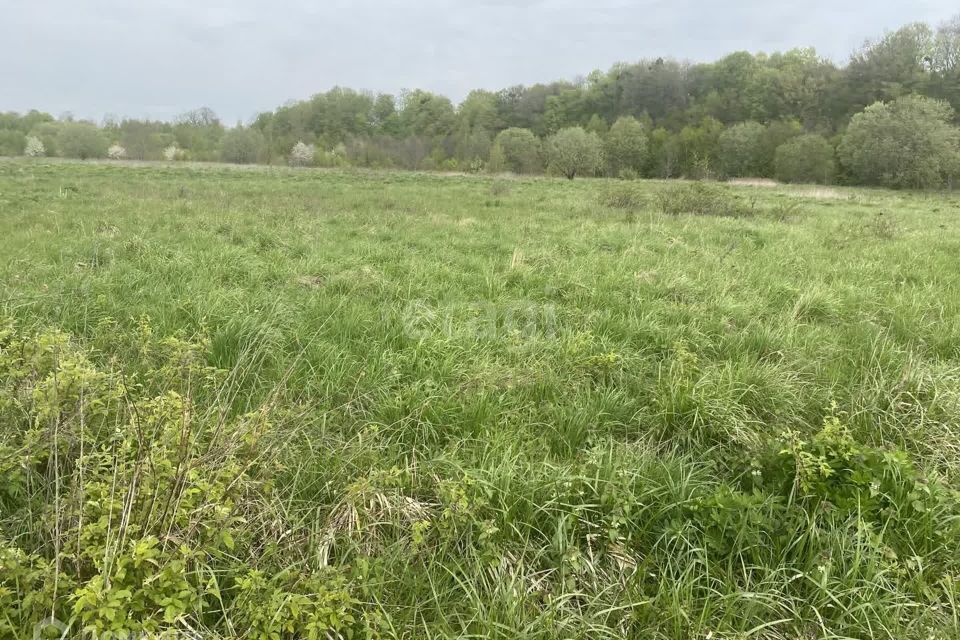 земля р-н Гвардейский п Комсомольск ул Центральная 13 фото 2