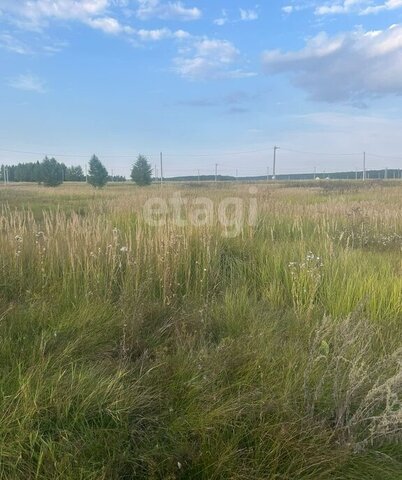 Поспеловское сельское поселение, посёлок Луговой фото