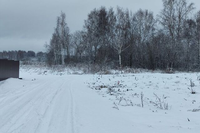 земля городской округ Орехово-Зуевский д. Кудыкино фото