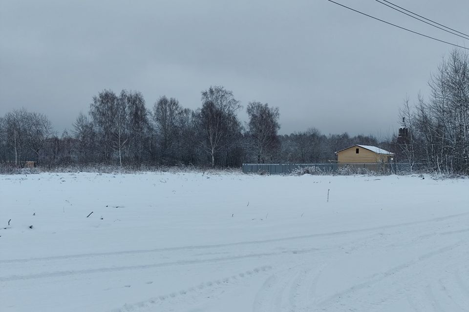 земля городской округ Орехово-Зуевский д. Кудыкино фото 3