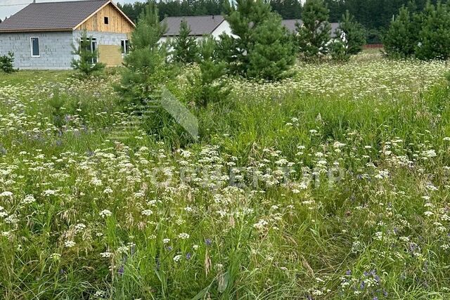 Белоярский городской округ фото