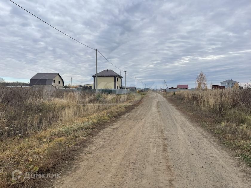 земля р-н Тюменский с. Борки фото 2