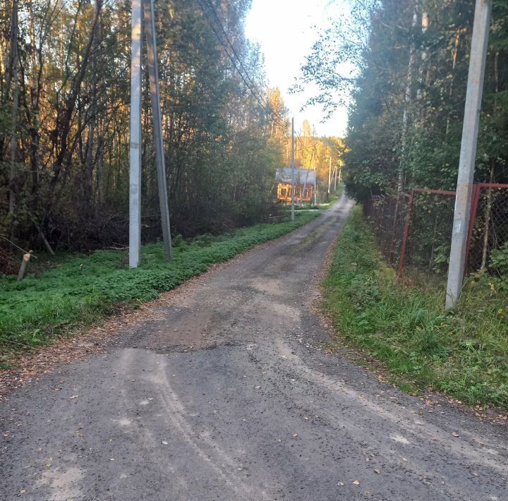 земля городской округ Солнечногорск д Рыгино снт Берёзовая роща фото 1