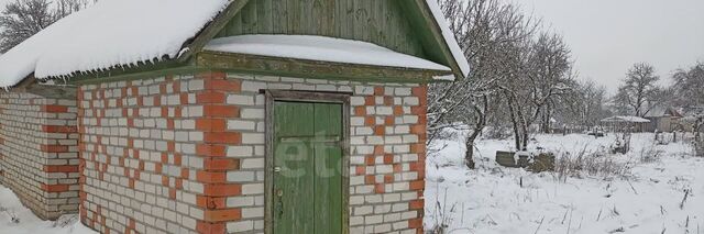 Мичуринское с/пос, СДТ, Брянский район, Мичуринец фото