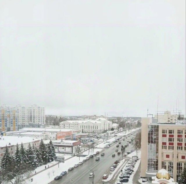 квартира г Саранск р-н Ленинский ул Ботевградская 29к/1 фото 16