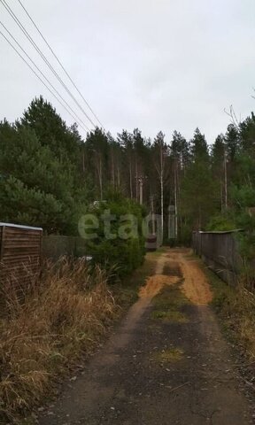 Трасса Сортавала, 44 км, Сосновское сельское поселение, садоводческое некоммерческое товарищество Ленинградского оптико-механического объединения-2, 8-я линия фото