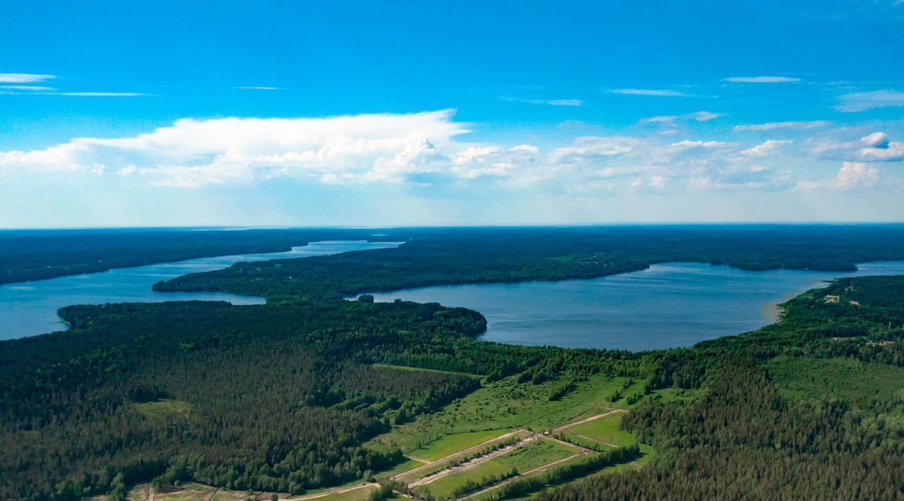 земля р-н Выборгский п Красная Долина Приморское городское поселение фото 1