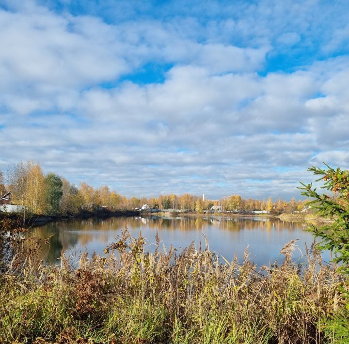 дом городской округ Богородский г Ногинск снт Ветеран 205 фото 18