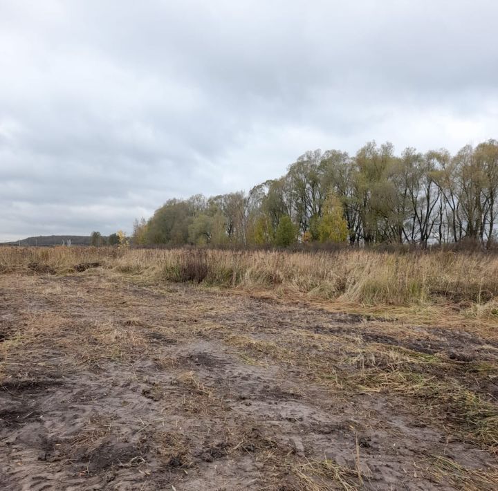 земля городской округ Раменский Степаново Лайф кп фото 5