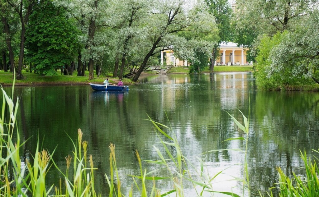 квартира г Санкт-Петербург ул Пулковская 6к/1 Звёздная фото 29