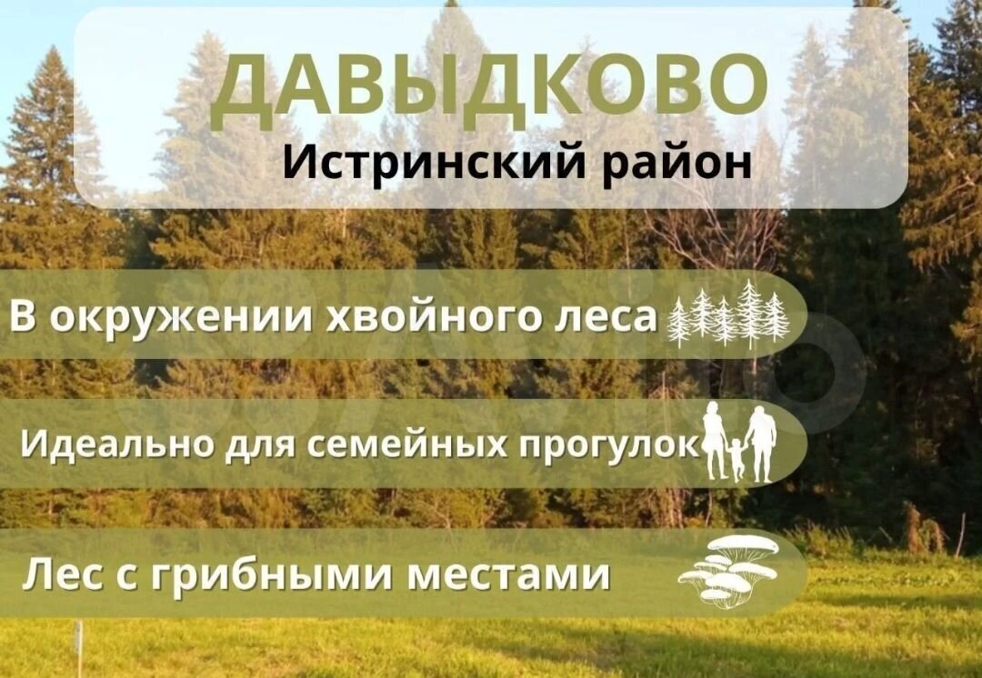 земля городской округ Истра с Новопетровское 67 км, коттеджный пос. Давыдково, 154, Волоколамское шоссе фото 12