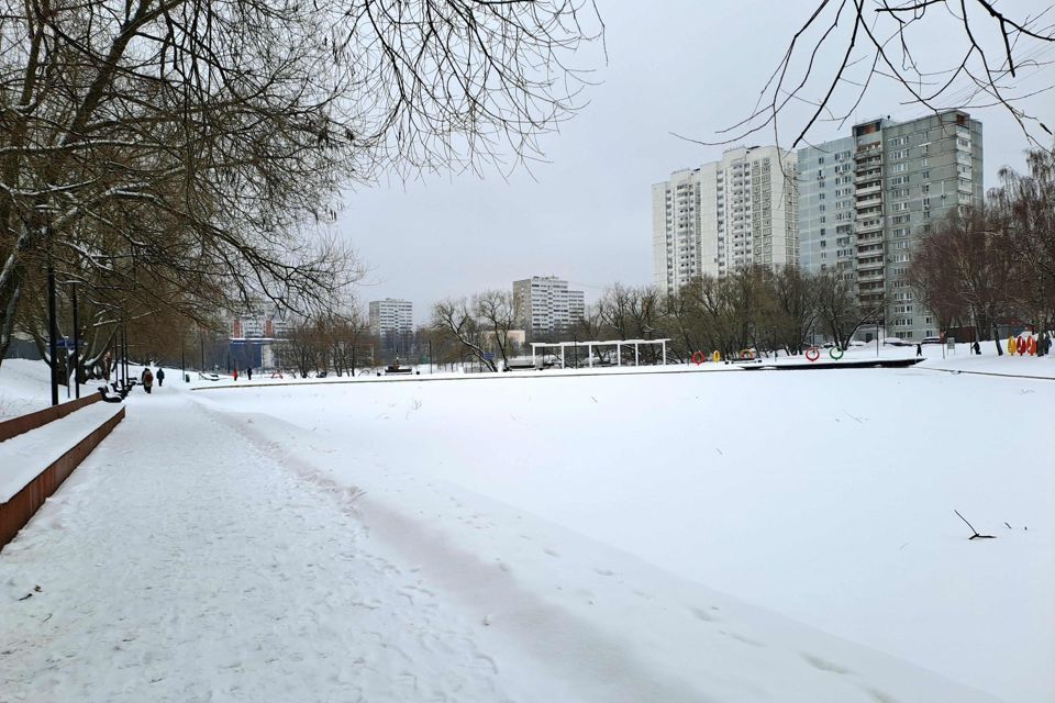 комната г Москва ул Профсоюзная 91/3 Юго-Западный административный округ фото 10