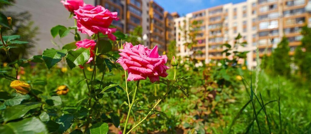 квартира городской округ Мытищи д Пирогово ул Ильинского 9 Медведково фото 3